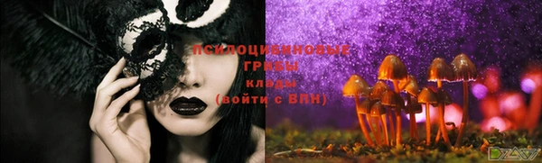 экстази Дмитров