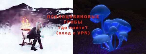 бошки Дмитриев