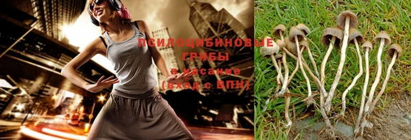экстази Дмитров