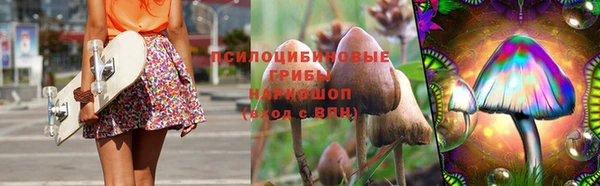 бошки Дмитриев