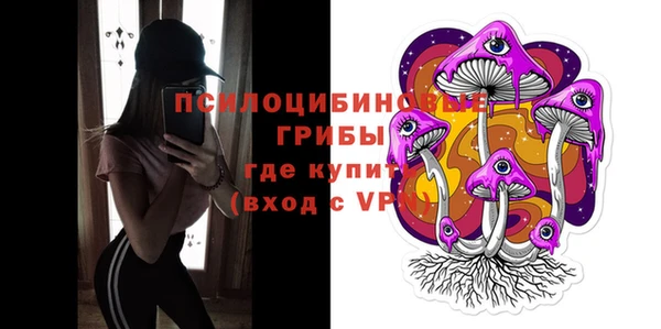 бошки Дмитриев