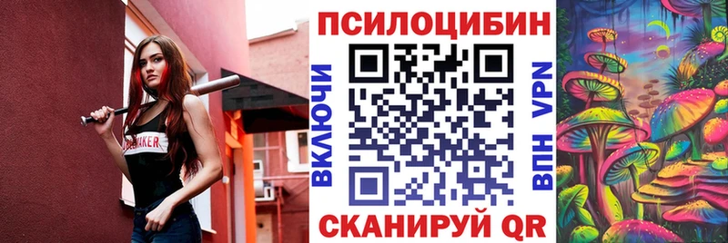 Псилоцибиновые грибы Cubensis  Купить  Великие Луки 